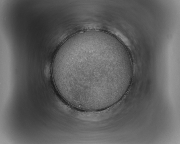 X0000114220009200910161317