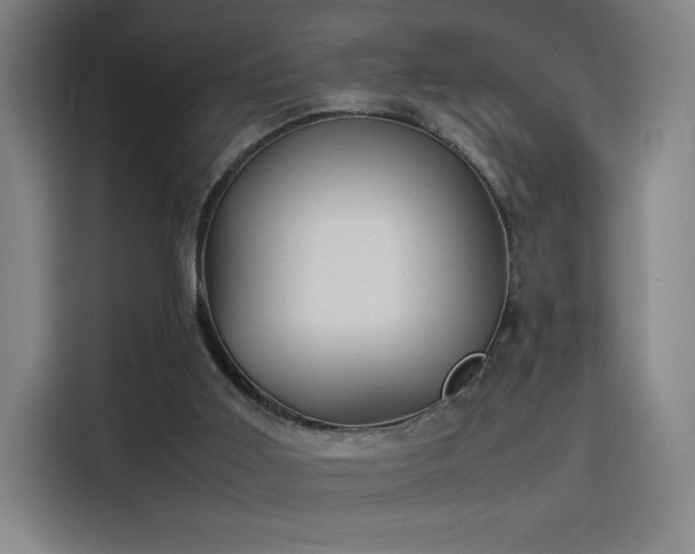 X0000114220011200910161317