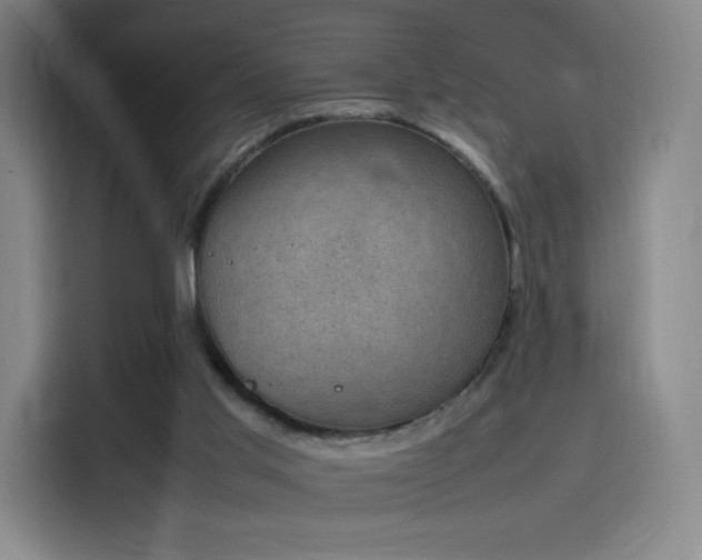 X0000114220013200910161317