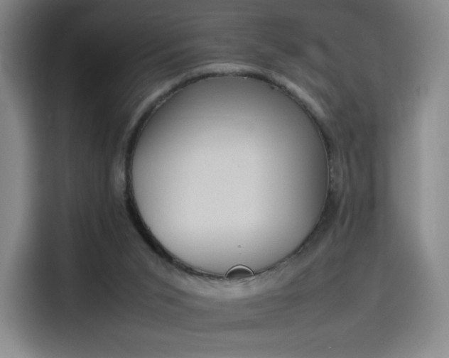 X0000114220015200910161317