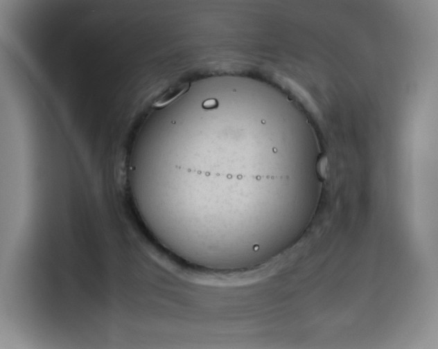 X0000114220017200910161317