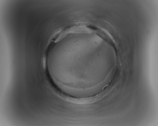 X0000114220019200910161316