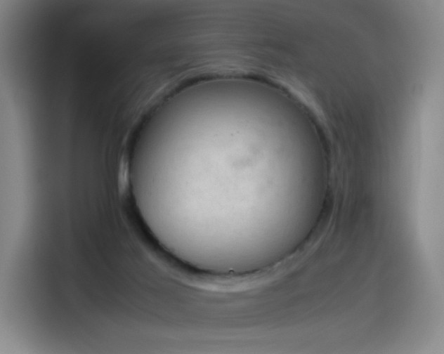 X0000114220021200910161316