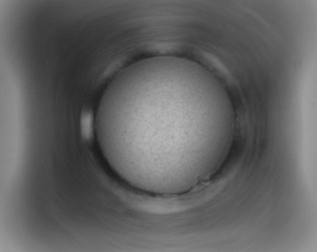 X0000114220024200910161316