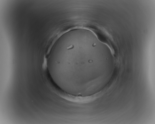 X0000114220027200910161316