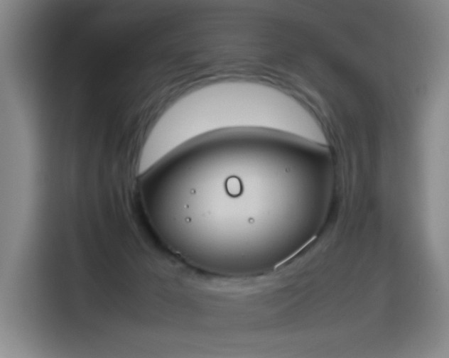 X0000114220029200910161316