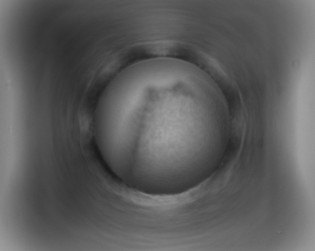 X0000114220031200910161316