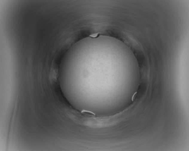 X0000114220033200910161316