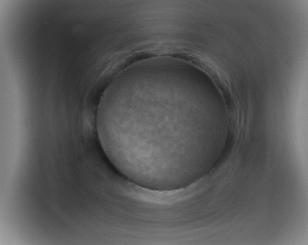 X0000114220035200910161316