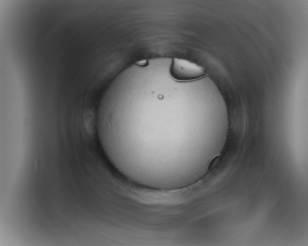 X0000114220036200910161316