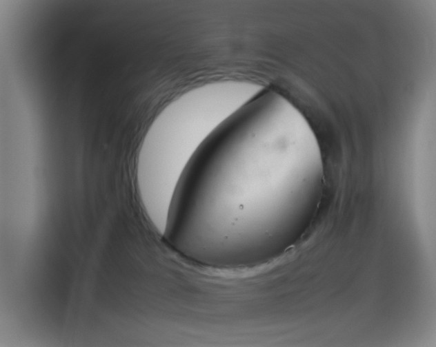 X0000114220037200910161316