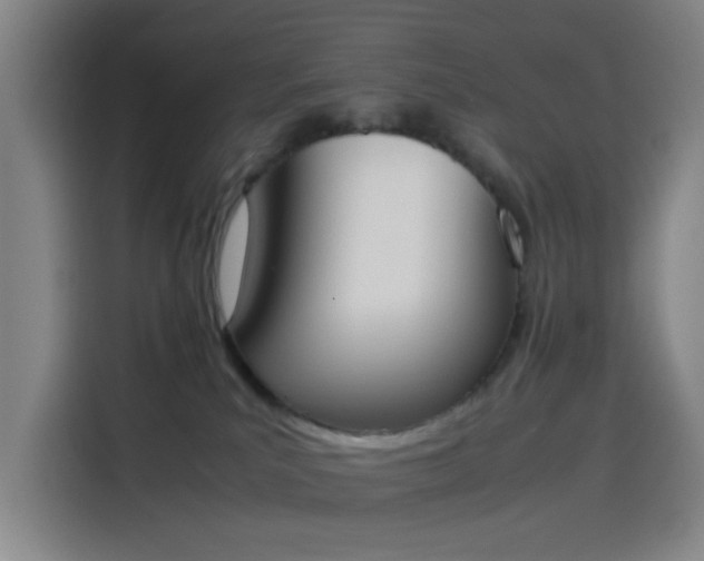 X0000114220039200910161316