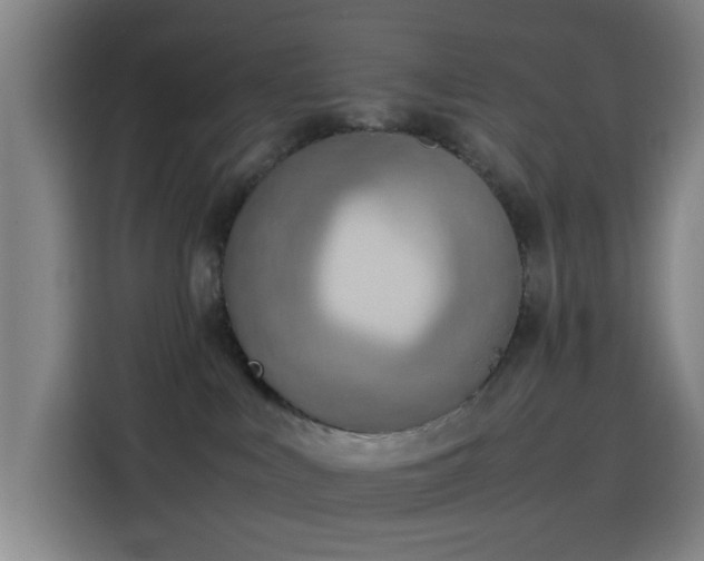 X0000114220043200910161316