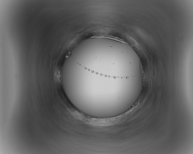 X0000114220045200910161316