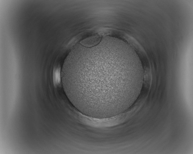 X0000114220046200910161316