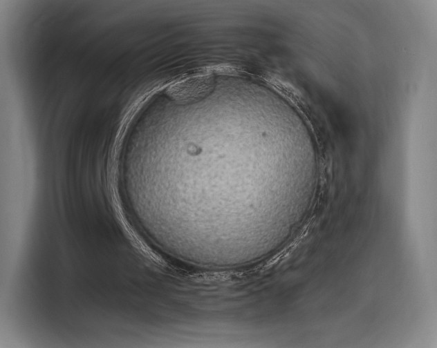 X0000114220049200910161315