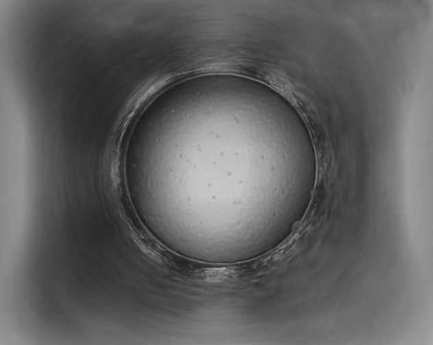 X0000114220050200910161315