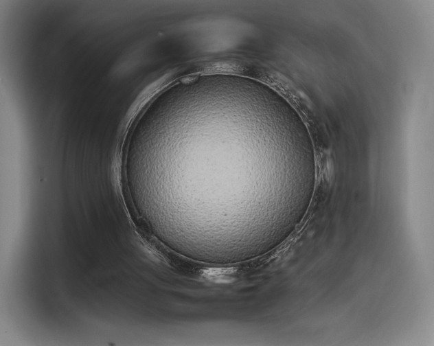 X0000114220051200910161315