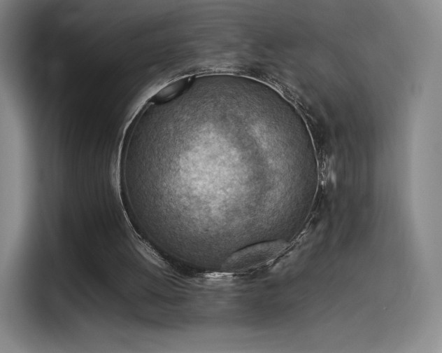 X0000114220052200910161316