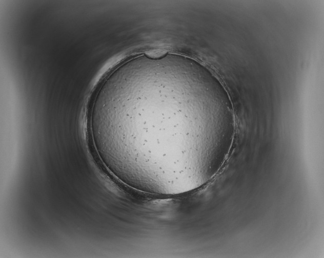 X0000114220054200910161316