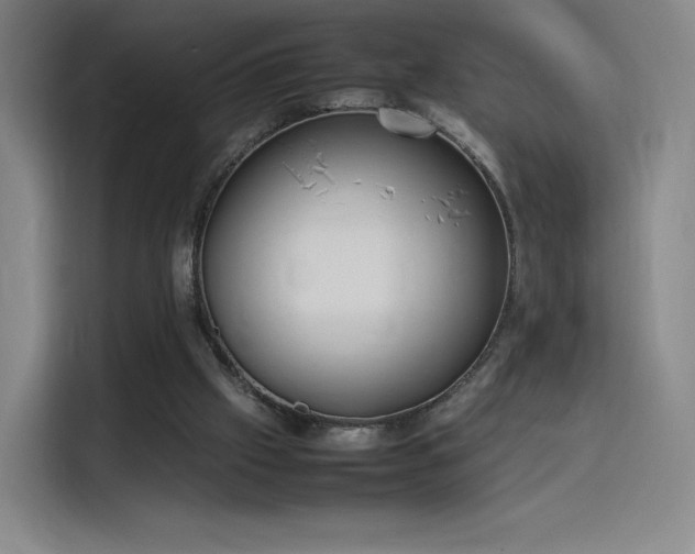 X0000114220057200910161316