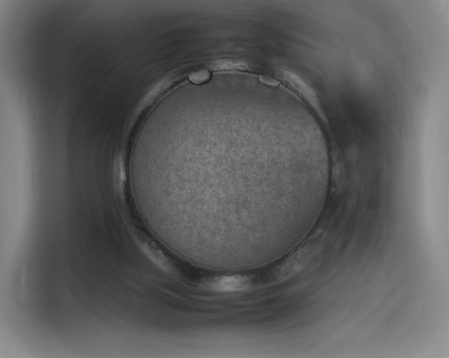 X0000114220059200910161316