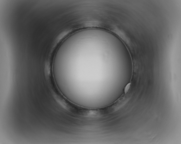 X0000114220060200910161316