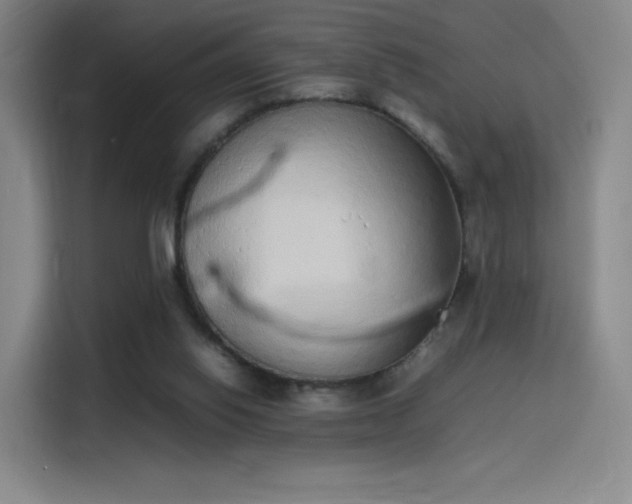 X0000114220062200910161316