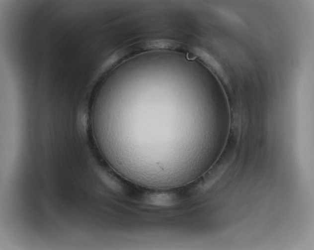 X0000114220063200910161316