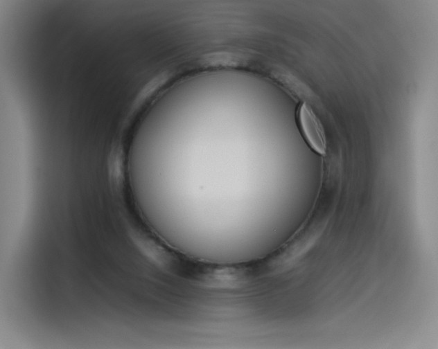 X0000114220064200910161316