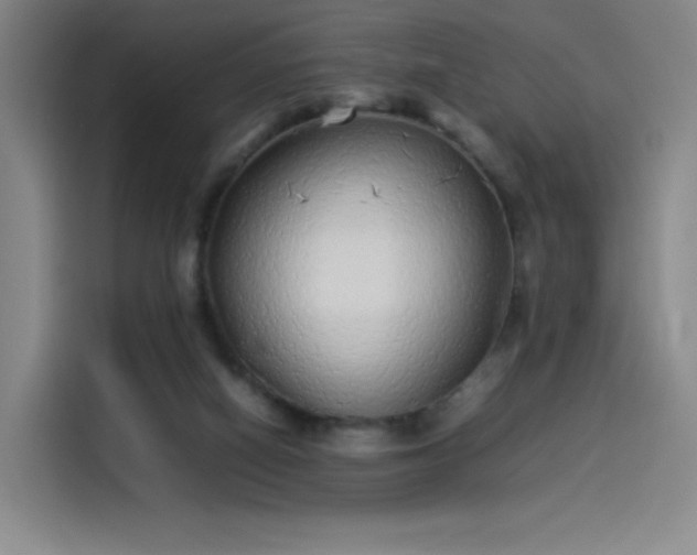 X0000114220066200910161316