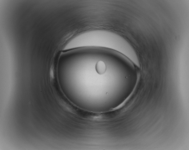 X0000114220068200910161316