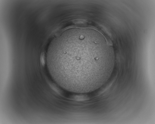 X0000114220069200910161316