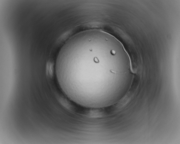 X0000114220070200910161316