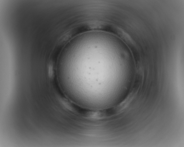 X0000114220074200910161316