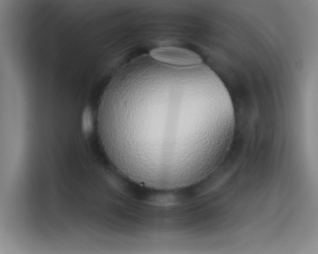 X0000114220075200910161316