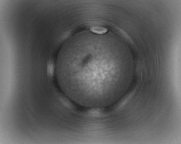 X0000114220076200910161316