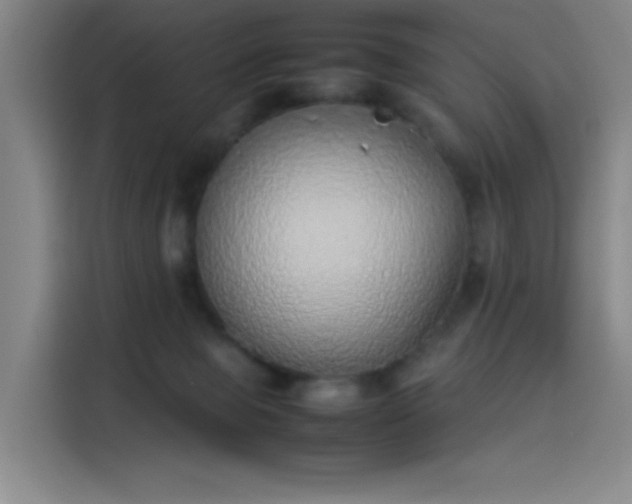 X0000114220077200910161316