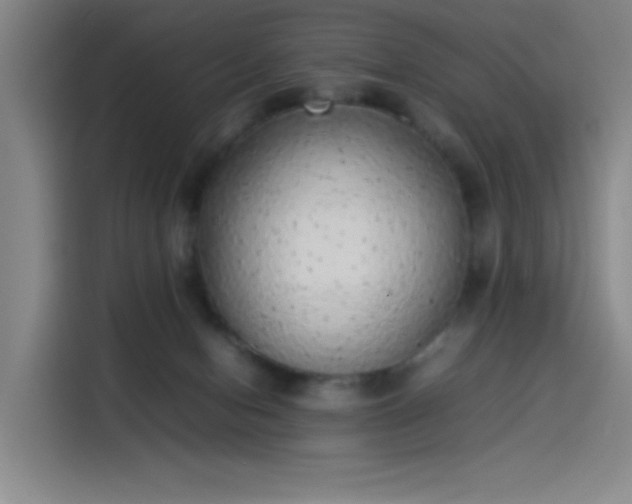 X0000114220078200910161316