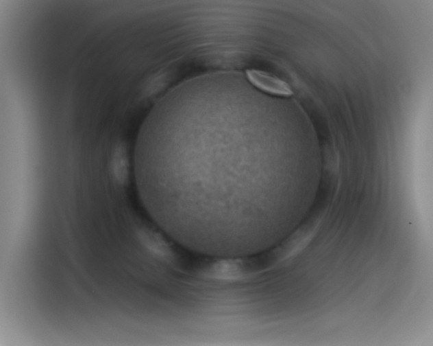 X0000114220080200910161316