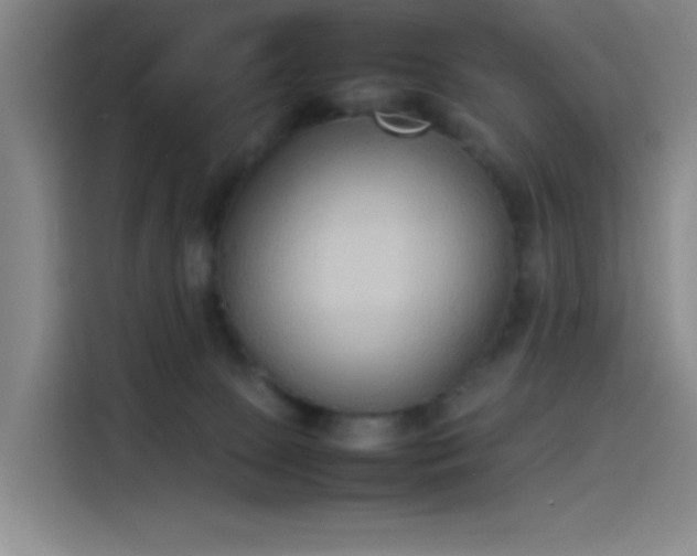 X0000114220081200910161316