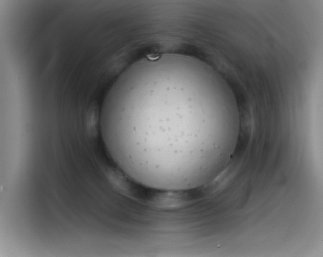 X0000114220082200910161316