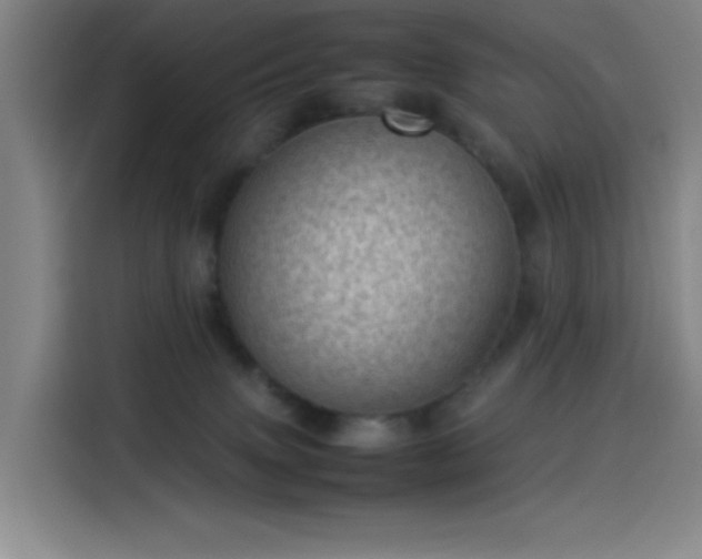 X0000114220083200910161316