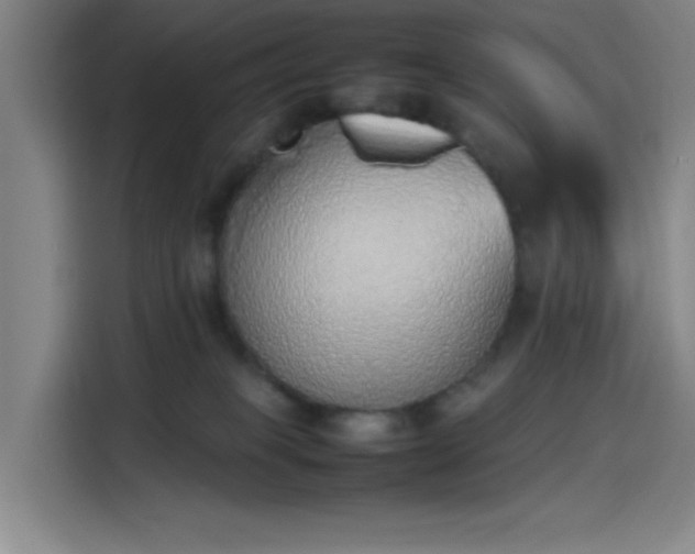 X0000114220085200910161316