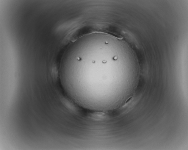 X0000114220086200910161316