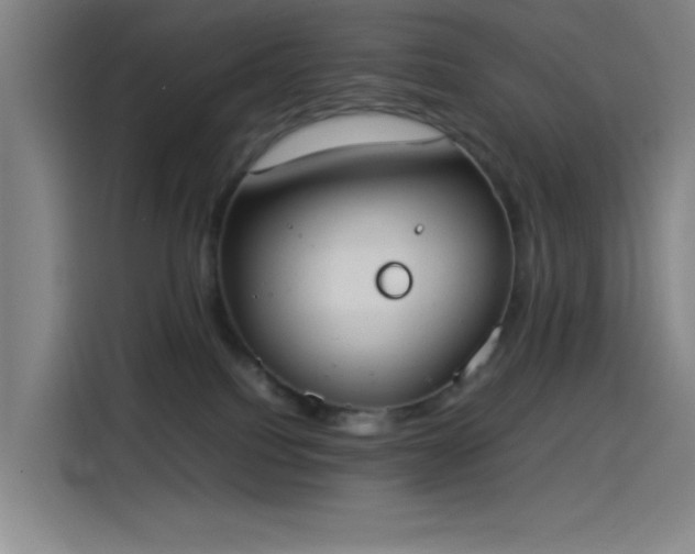 X0000114220088200910161316