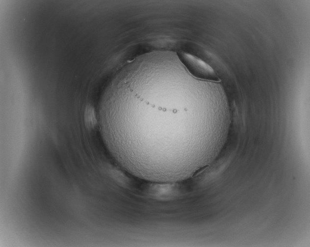 X0000114220089200910161316