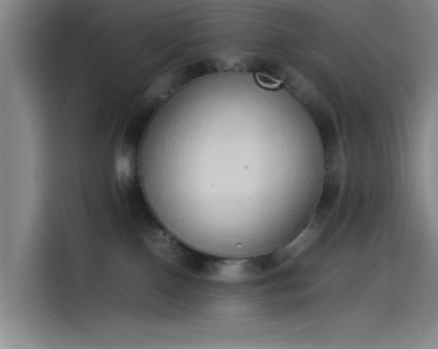 X0000114220090200910161316