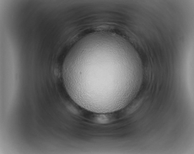 X0000114220091200910161316