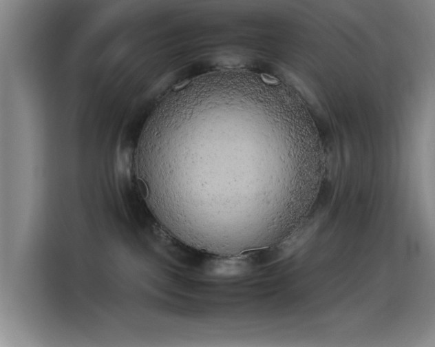 X0000114220093200910161316